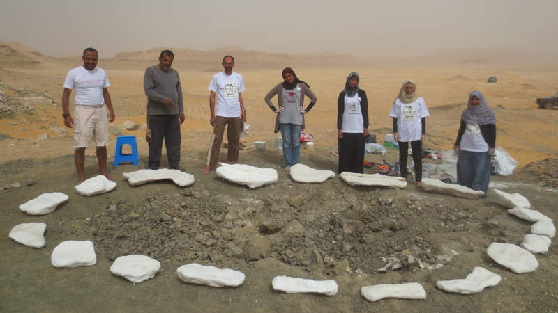 The all-Egyptian field team from the Mansoura University Vertebrate Paleontology initiative that found and collected the new titanosaur. (Image: Mansoura University)